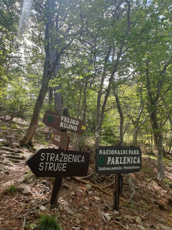 Vito Starigrad Paklenica