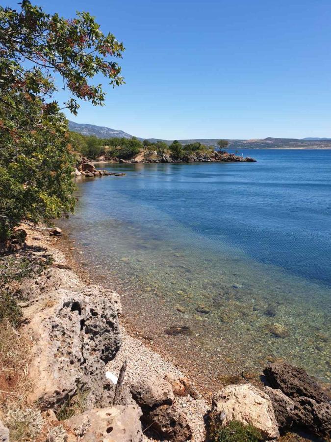 Apartment Vito Starigrad Paklenica